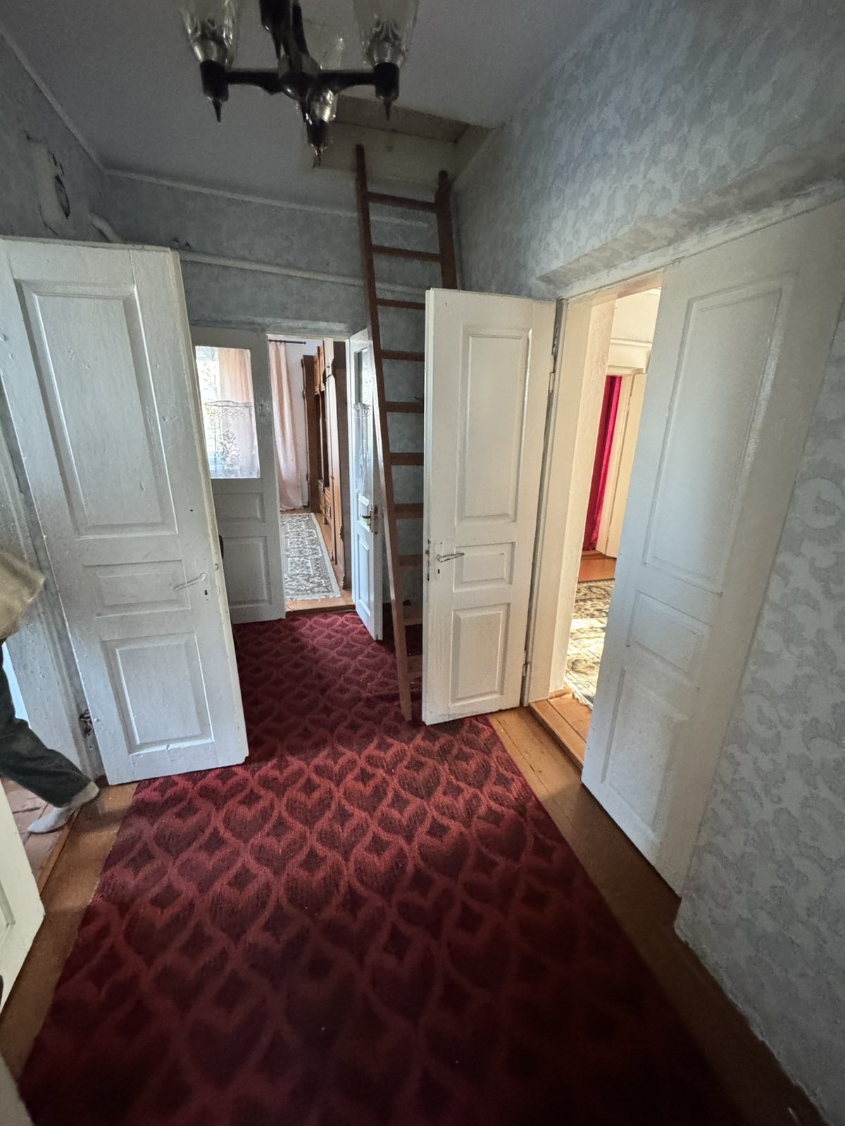 зображення_viber_2025-11-04_11-28-52-097