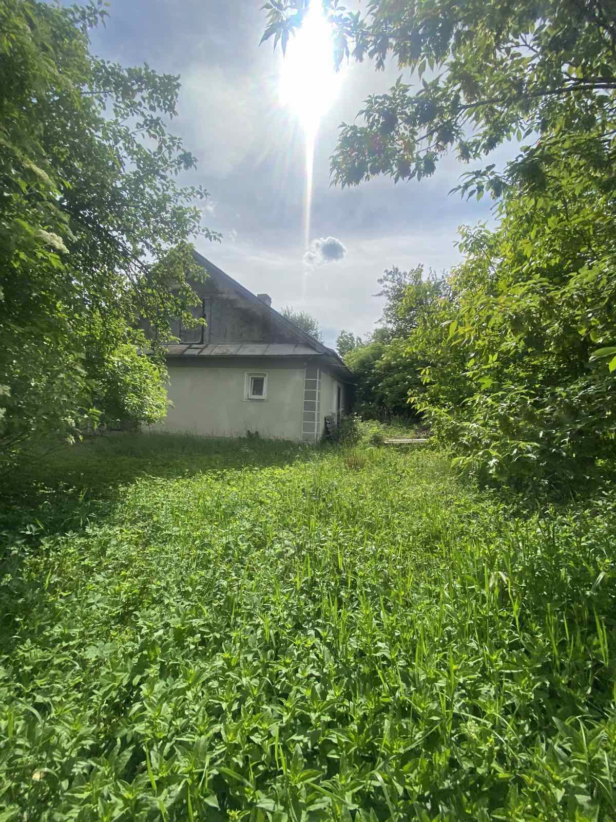 зображення_viber_2026-07-05_10-55-55-396