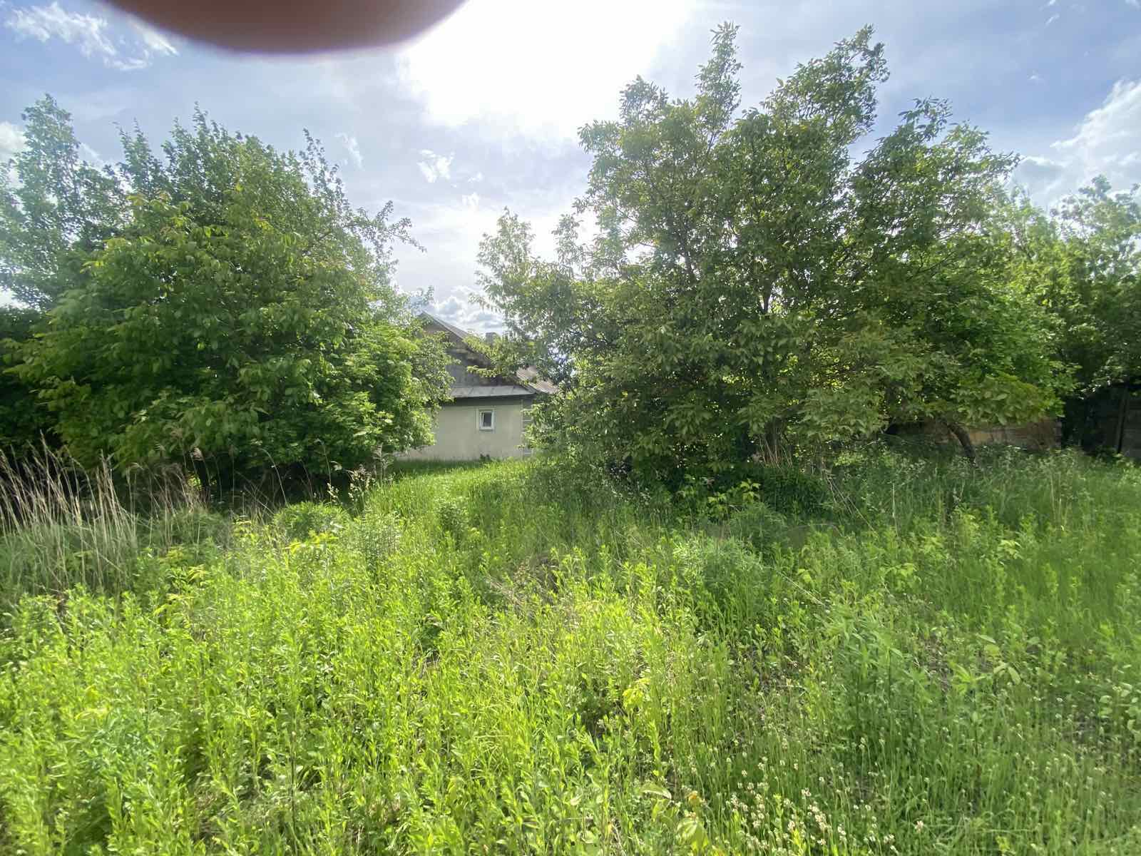 зображення_viber_2026-07-05_10-55-55-672