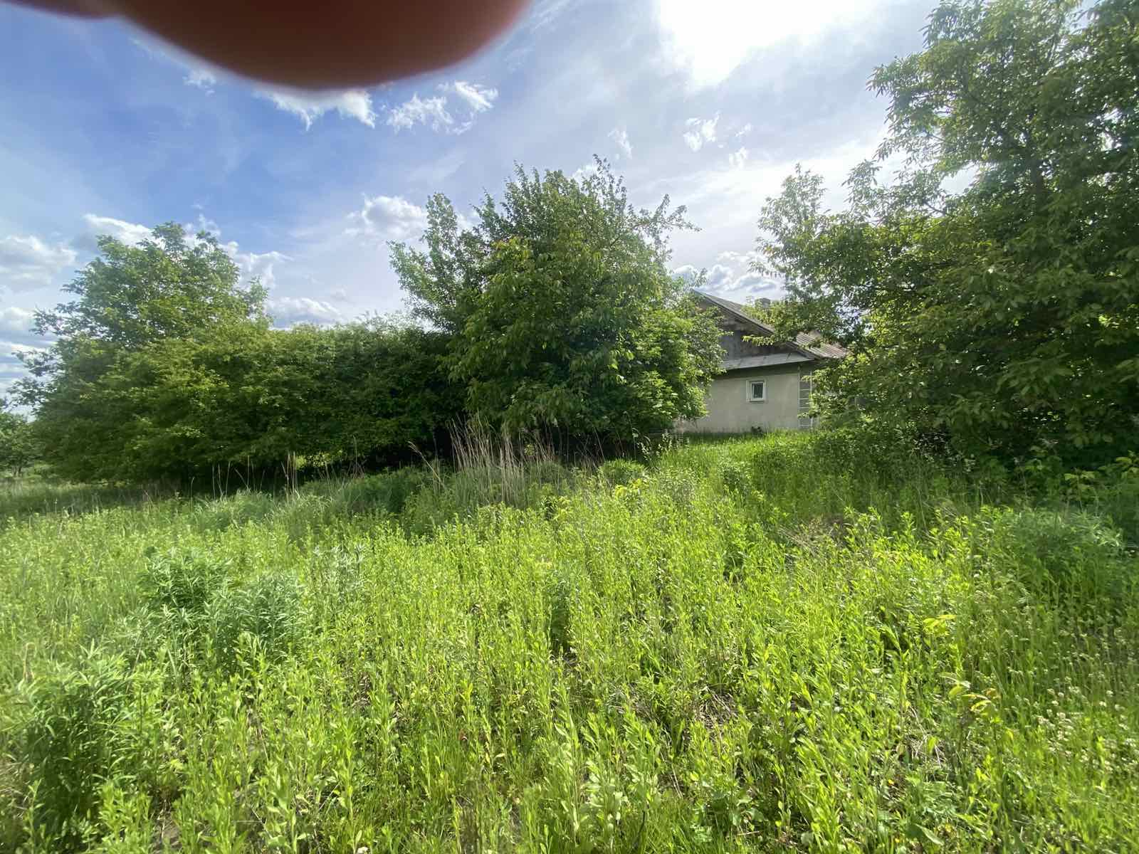зображення_viber_2026-07-05_10-56-08-534